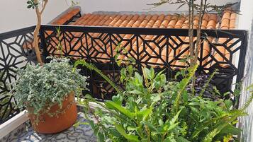 Habitación estándar | Terraza o patio