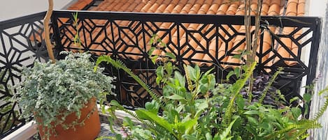 Standard Room | Terrace/patio