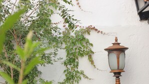 A street lamp, a white wall, and green foliage. - Casa Mestiza (Guadalajara)