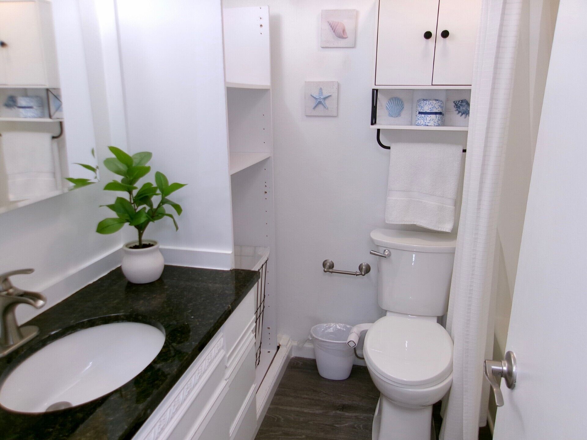 Un baño con un lavamanos blanco, una planta en maceta, un inodoro y un cubo de basura pequeño.
