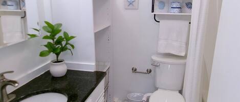 Un baño con un lavamanos blanco, una planta en maceta, un inodoro y un cubo de basura pequeño.