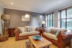 تلفزيون، مدفأة