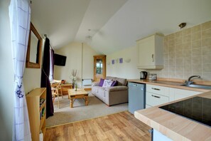 Living area - 1 Bed in Banningham (oc-1389) (Banningham)