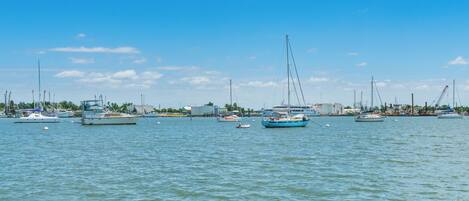 A marina with various boats docked, calm water, and a clear sky.