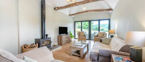 Télévision, cheminée