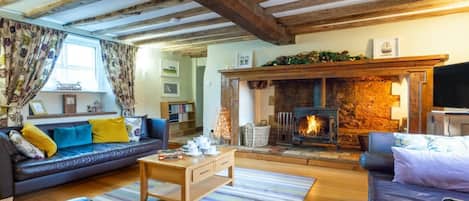 TV, fireplace