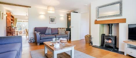 Télévision, cheminée