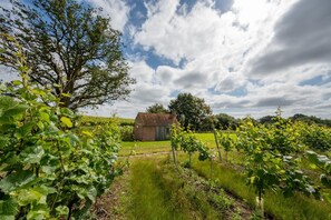 Property grounds - 1 Bed in Stone (oc-tn618) (Stone in Oxney)