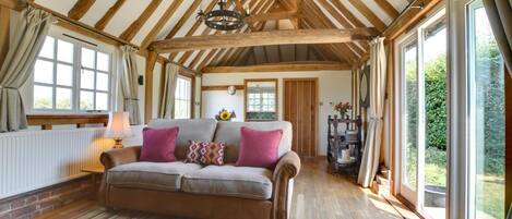 Televisión y chimenea