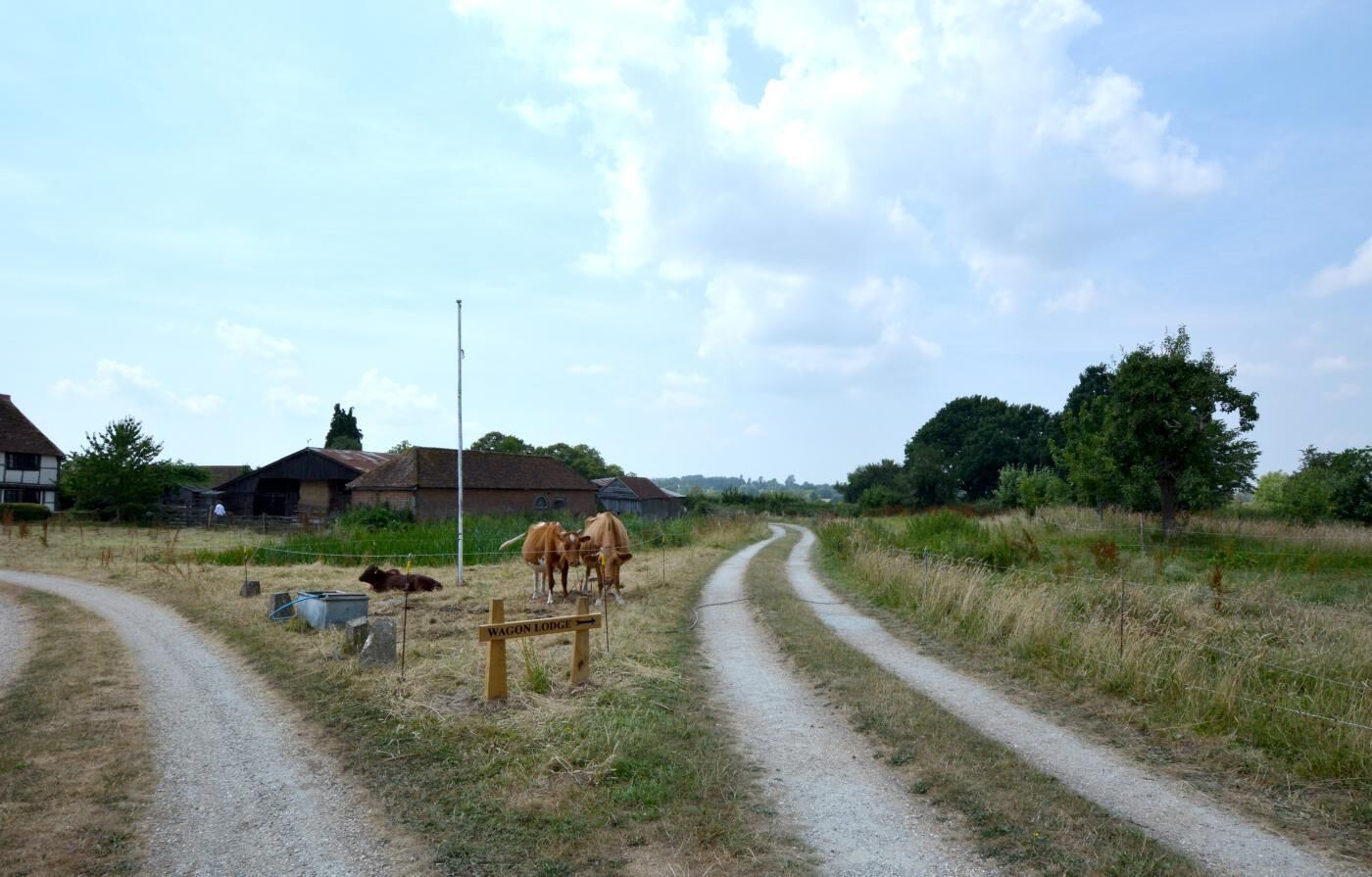 A rural road with a sign for Wagon Lodge.