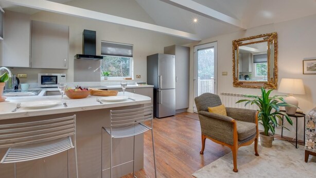 Una cocina moderna con una isla central, una zona de comedor con una silla, un espejo grande y una planta en maceta.