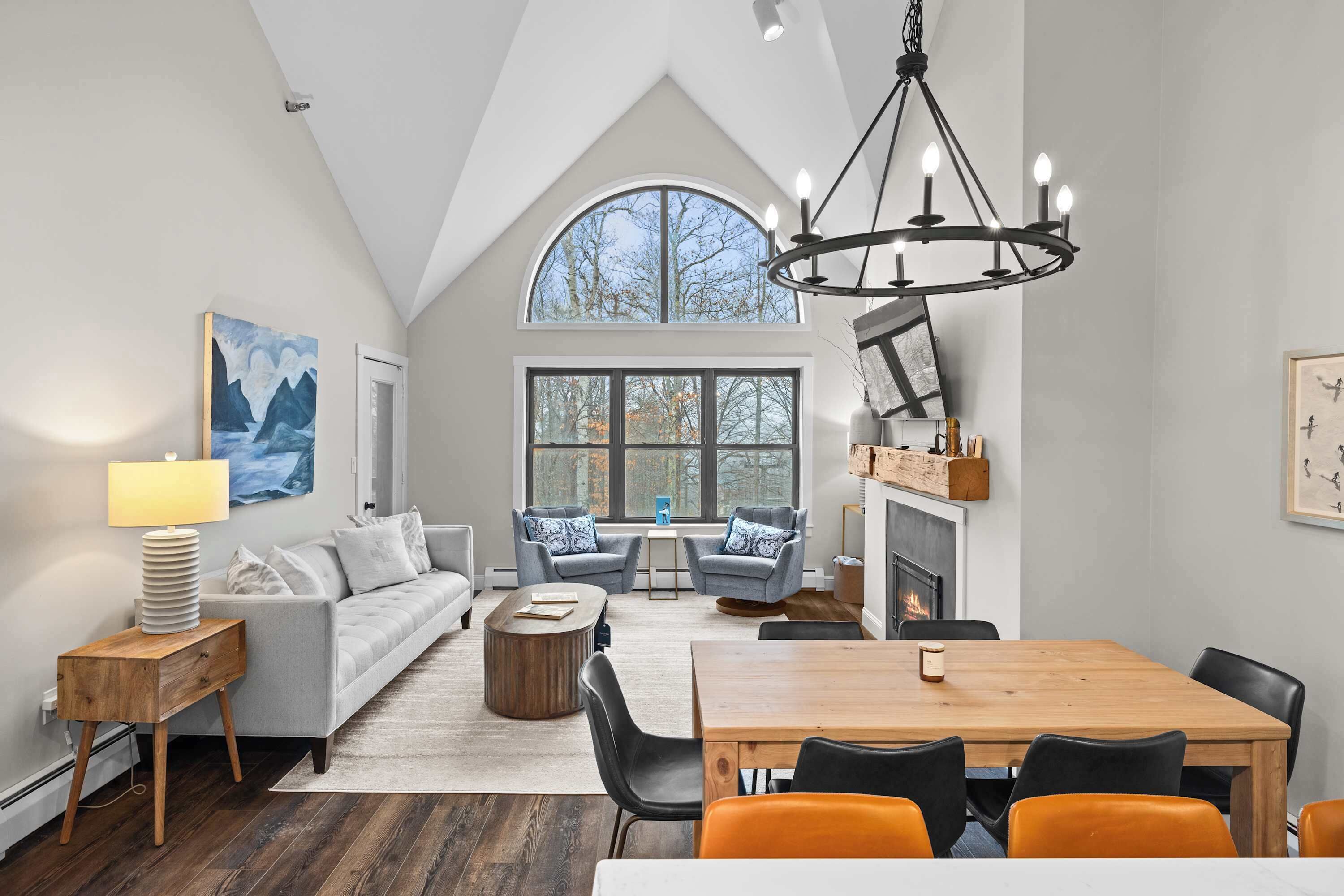 Télévision, cheminée, espaces bureaux