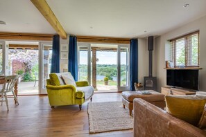 Télévision, cheminée