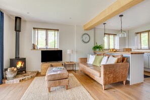 Télévision, cheminée