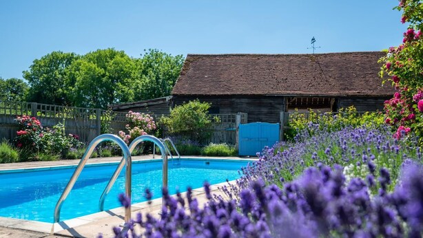 Una piscina con scalette in metallo, circondata da fiori viola e un edificio in legno con tetto di paglia sullo sfondo.