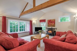 TV, fireplace - 4 Bed in Outgate (oc-c32992) (Outgate)