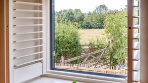 Ein Fenster mit Blick auf einen Holzzaun und Grünpflanzen.