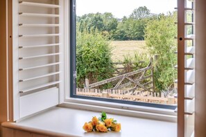 Ein Fenster mit Blick auf einen Holzzaun und Grünpflanzen.
