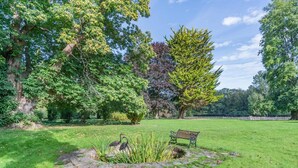 Un parc avec une fontaine en pierre, un banc et divers arbres.