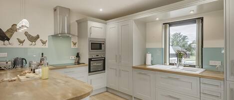 Microondas, horno, lavavajillas y periquera