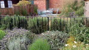 A garden with various plants and a metal fence. - 2 Bed in Woodbridge (oc-csn2) (Woodbridge)