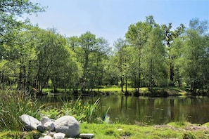 A serene pond surrounded by lush greenery and trees. - 1 Bed in Two Waters Foot (oc-a27332) (Warleggan)