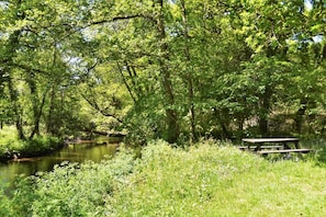 A serene riverside picnic area with a wooden bench and lush greenery. - 1 Bed in Two Waters Foot (oc-a27332) (Warleggan)