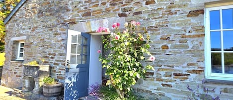 Detalle del exterior