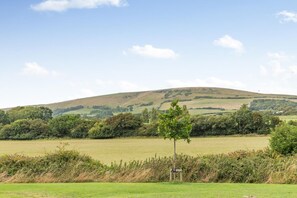 A rural landscape with a hill, open fields, and a small tree. - 2 Bed in Swanage (oc-wy467) (Swanage)