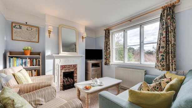 A cozy living room with a fireplace, a television, and a bookshelf. - 2 Bed in Walberswick (oc-grs) (Walberswick)