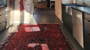 Une cuisine moderne avec des murs en bois, un ventilateur de plafond et un tapis rouge à motifs.