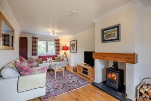 Televisión y chimenea 