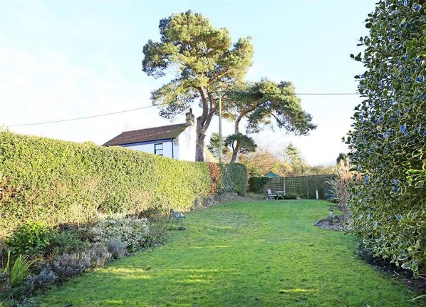 A well-maintained garden with a lawn, a tall tree, and a hedge.