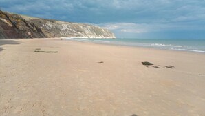 Une plage avec une rive sablonneuse, une falaise rocheuse et l’océan.