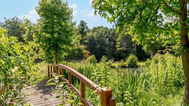 Un pont en bois, situé dans un parc verdoyant et luxuriant, avec un feuillage dense et des arbres en arrière-plan.