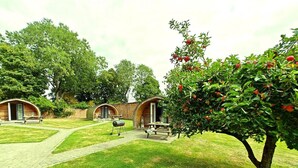 Une cour avec deux cabanes en bois, un barbecue et un arbre aux fruits rouges.