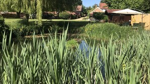 Unclassified image, 4 of 28, button - 1 Bed in Woodbridge (oc-stabu) (Ufford)