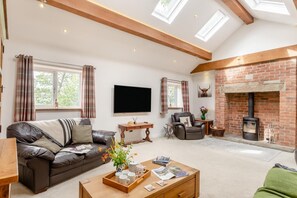 Televisión y chimenea 