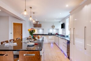 Microondas, horno, lavavajillas y periquera 