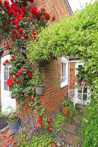 3 Bed in Southwold (oc-whi)