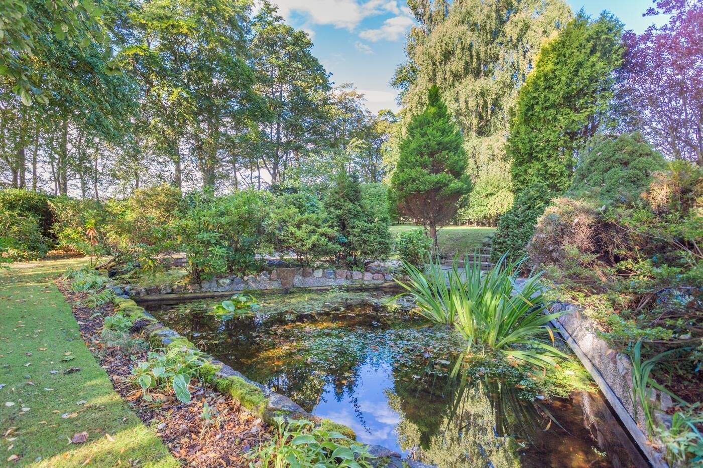 Um jardim tranquilo com lago, cercado por vegetação exuberante e árvores.