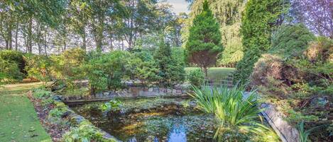 Um jardim tranquilo com lago, cercado por vegetação exuberante e árvores.