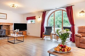 Fernseher, Kamin