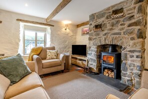 TV, fireplace - 2 Bed in Cwmystwyth (oc-p32779) (Cwmystwyth)
