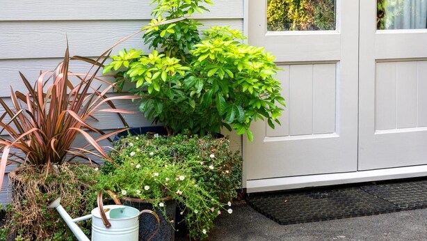 Una casa con una porta bianca, un cartello con la scritta 'Little Glene' e diversi vasi con piante sul davanti.