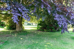 Property grounds - 4 Bed in Halesworth (oc-willho) (Halesworth)