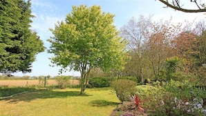 A well-maintained garden with a variety of trees and shrubs, a lawn, and a fence. - 1 Bed in Frostenden (oc-phc) (Frostenden)