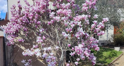 Guest Room 'Chambre Hiver' with Shared Garden and Wi-Fi