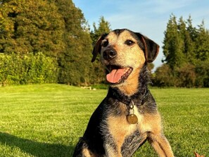 Pet-friendly - 1 Bed in Clatcombe (oc-s33309) (Castleton)