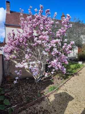 Property grounds - Guest Room 'Chambre Printemps' with Shared Garden and Wi-Fi (Villefranche-sur-Cher)
